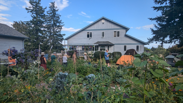 Outdoor walking meditation